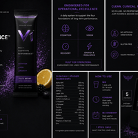 V1 Evaluation Kit